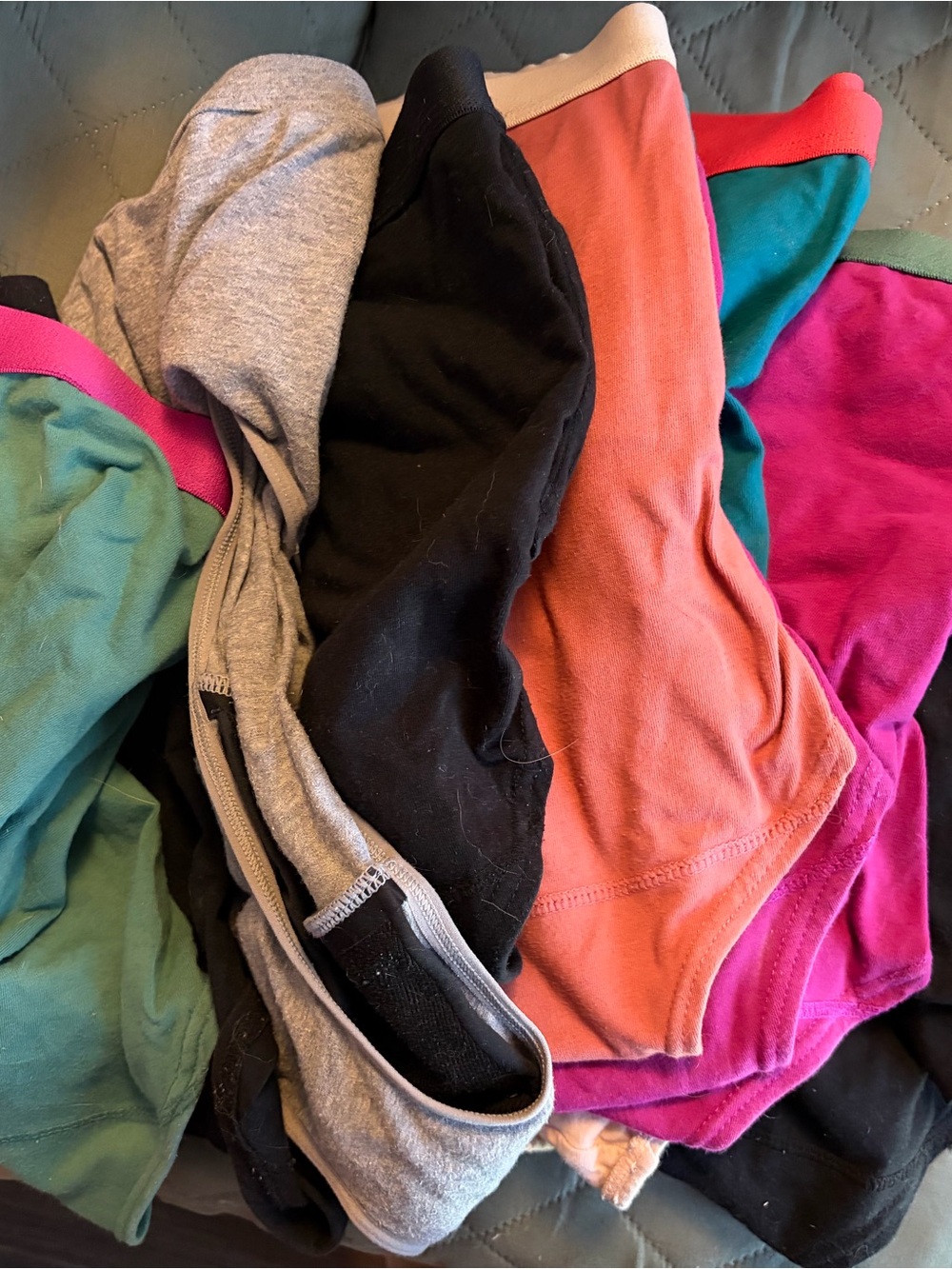 Women's Cotton Stretch Panty Pack - Multi Color M15